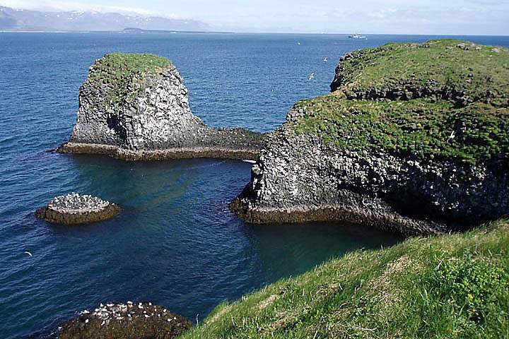 eu_island_026.jpg - Vogelbrutgebiet bei Arnarstapi auf der Halbinsel Snfellsnes