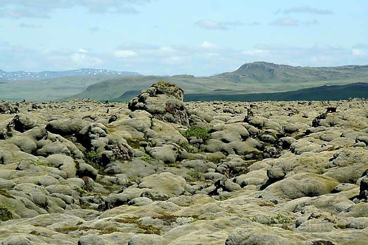 eu_island_034.jpg - Moosbewachsene Lavafelsen im Lavafeld Eldhraun an der Sdkste von Island