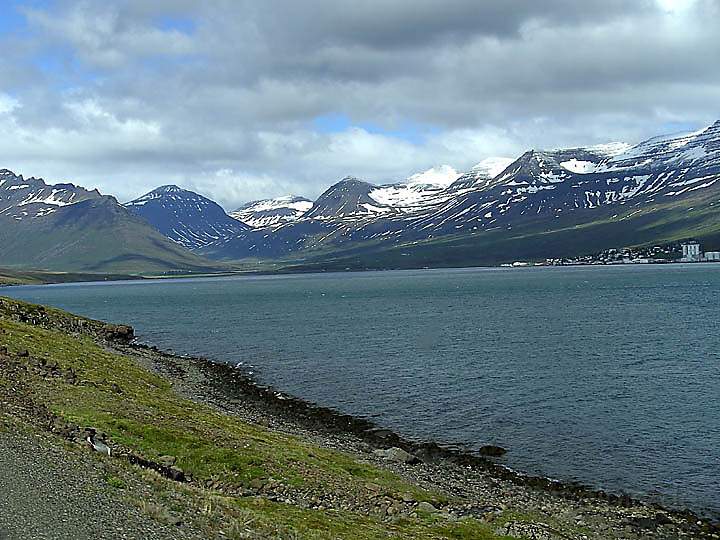 eu_island_043.jpg - Fahrt entlang des Reydarfjrdur an der Ostkste von Island