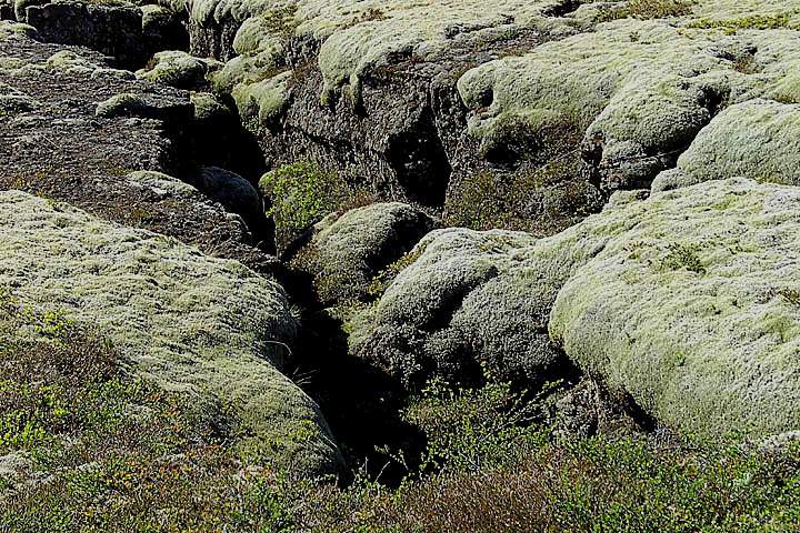 eu_island_047.jpg - Die Erde ist bei Pingvellir im Westen von Island berall in Bewegung