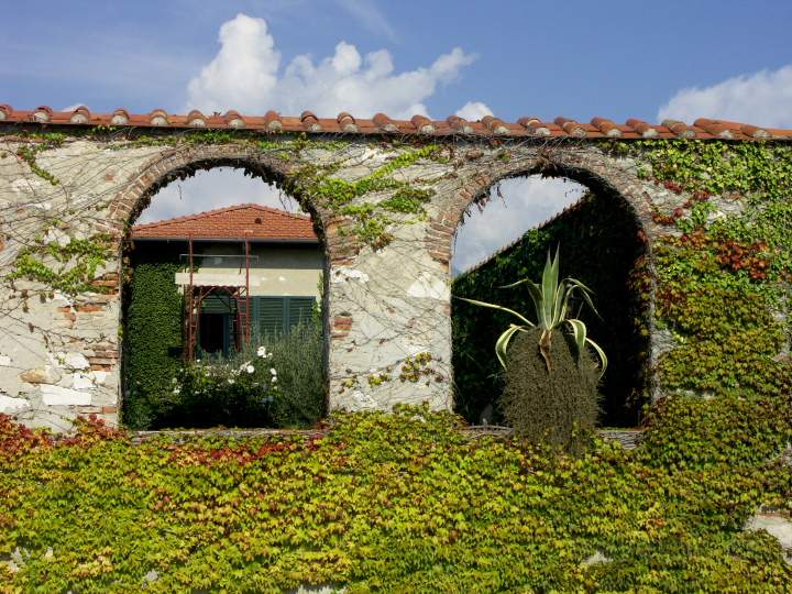 eu_it_toskana_030.JPG - Typisches Bild aus der Toskana bei Viareggio, Italien