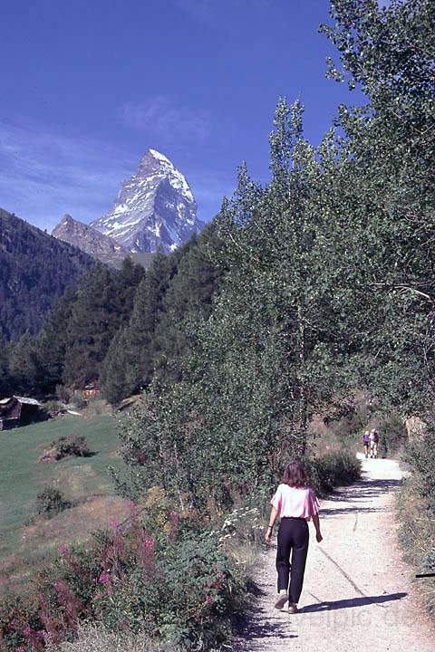 eu_ch_mattertal_025.jpg - Wanderung Zermatt - Riffelalp (2309 m), Blick zum Matterhorn, Wallis