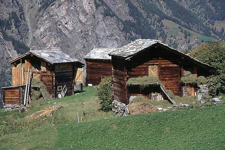 eu_ch_mattertal_041.jpg - am Europaweg bei Graechen in Wallis