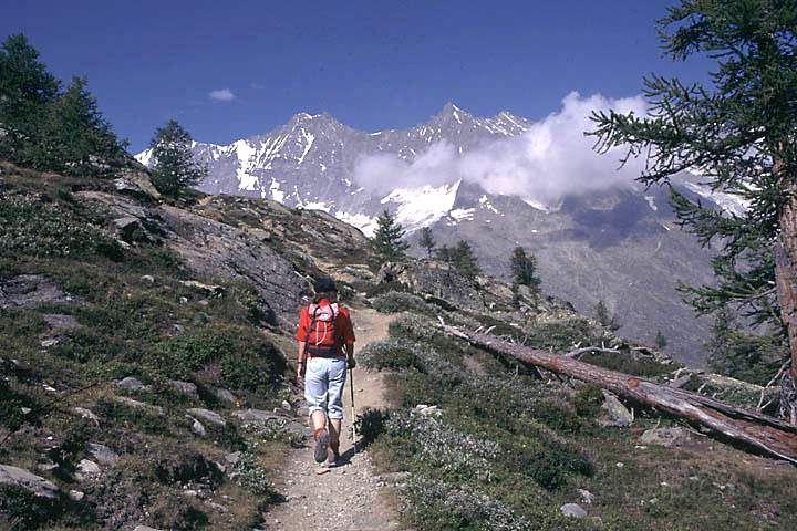 eu_ch_saastal_018.jpg - Wanderung am Gemssteig nach Plattjen, Wallis