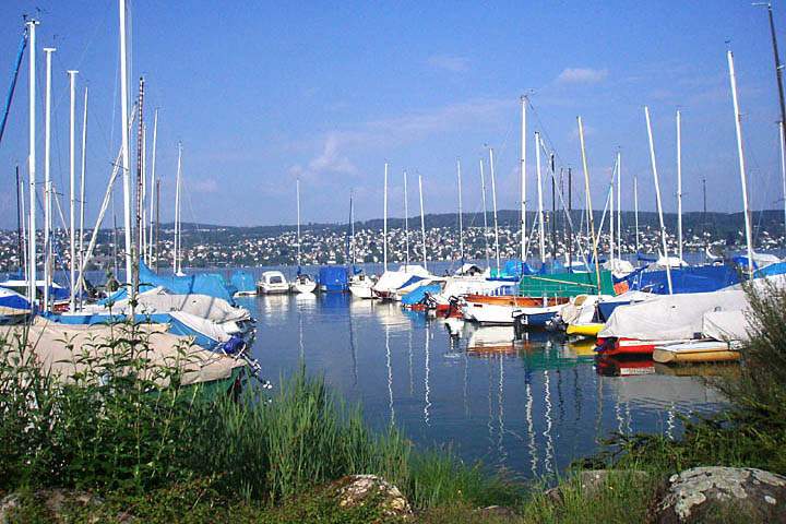 eu_ch_zuerich_011.jpg - Idylle am Bootshafen vom Zuerichsee, Schweiz