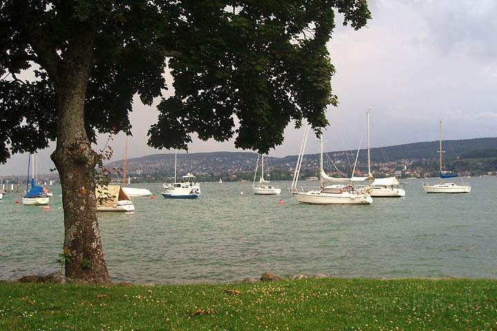 eu_ch_zuerich_012.jpg - Boote auf dem Zrichsee bei Zrich