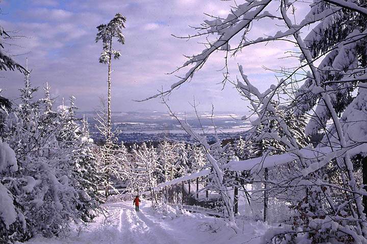 eu_ch_zuerich_021.jpg - Winter am Zuerichberg ber Zrich