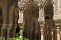 eu_es_alhambra_019