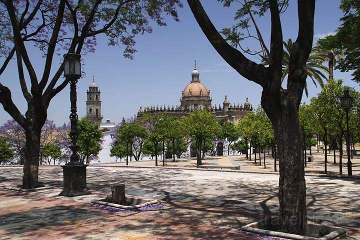 eu_es_jerez_003.jpg - Der Park der Burgfestung und die Kathedrale von Jerez de la Frontera in Andalusien