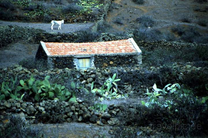 eu_es_el_hierro_001.JPG - Natur und Ruhe pur auf El Hierro, Kanaren