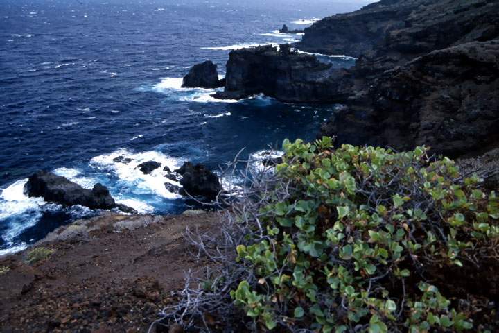 eu_es_el_hierro_002.JPG - Steile Kstenlandschaft beim Charco del Tamaduste auf El Hierro, Kanaren