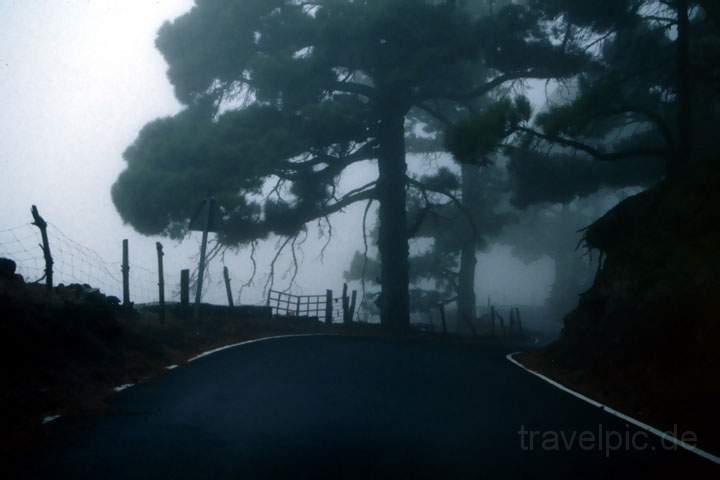 eu_es_el_hierro_009.JPG - Strae im Nebel auf der menschenleeren Insel El Hierro, Kanarische Inseln