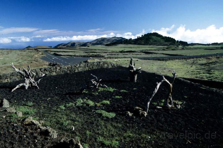 eu_es_el_hierro_015.JPG - Landschaft am sehenswerten Mirador de la Pea auf El Hierro