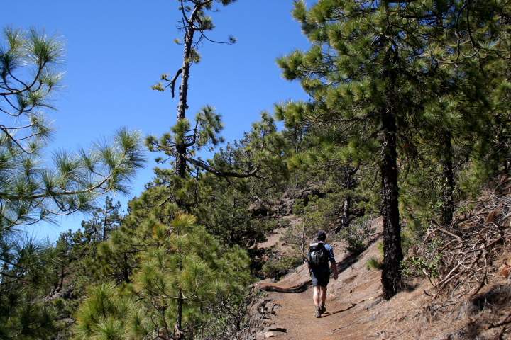 eu_es_la_palma_022.JPG - Wandern auf der Insel entspannt und bietet tolle Aussichten, La Palma