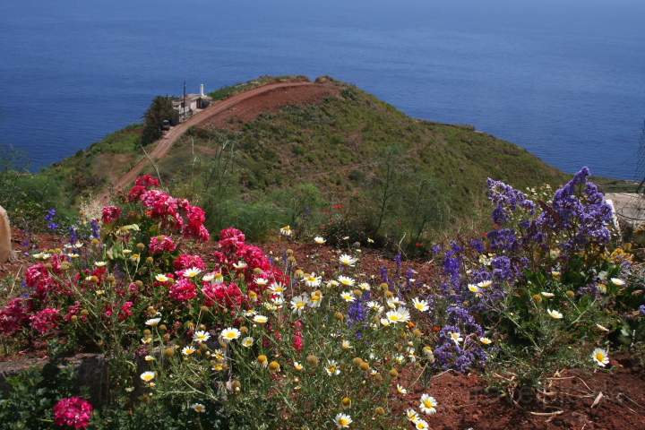 eu_es_la_palma_027.JPG - Wanderweg im Norden von La Palma, Kanaren