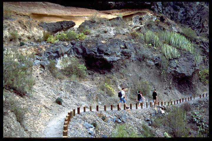 eu_es_teneriffa_010.JPG - Auf Teneriffa hat es viele interessante Wanderwege zu entdecken, Kanarische Inseln