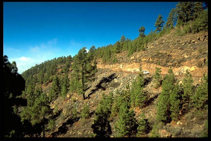 eu_es_teneriffa_012.JPG - Unterwegs zur Mondlandschaft sdlich der Kraterlandschaft Las Canadas auf Teneriffa