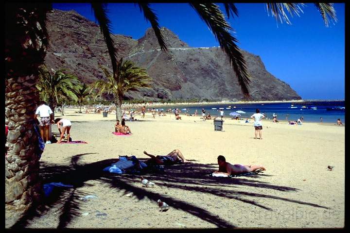 eu_es_teneriffa_014.JPG - Der Palmenstrand Las Teresitas nrdlich der Hauptstadt Santa Cruz auf Teneriffa