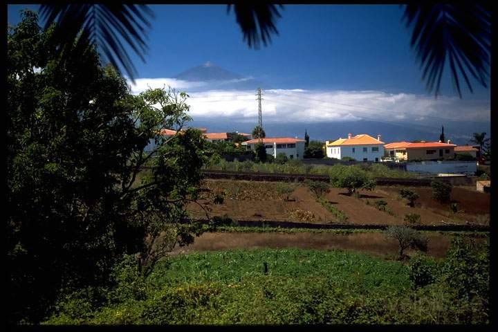 eu_es_teneriffa_016.JPG - Der Pico de Teide ist von fast berall auf der Insel Teneriffa zu sehen