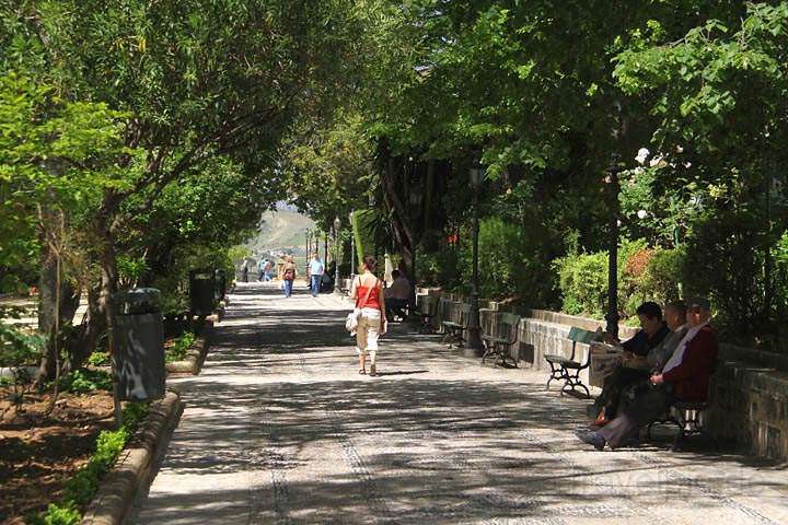 eu_es_ronda_003.jpg - Die Allee Alameda del Tajo fhrt zur Aussicht in Ronda