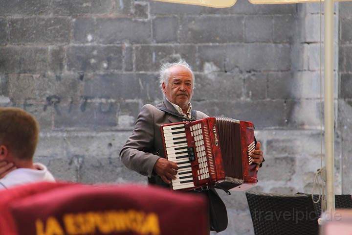 eu_es_jerez_008.jpg - Ein Musikant auf den Straen von Jerez de la Frontera