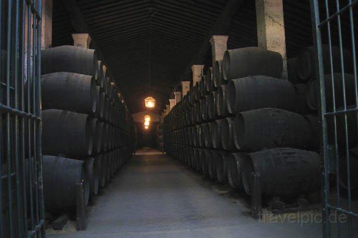 eu_es_jerez_014.jpg - Eine Halle voller Sherry-Fsser in der Bodega Gonzlez-Byass in Jerez