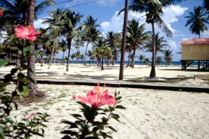 ma_belize_007.JPG - Der traumhafte und fast unberhrte Strand von Placencia im Sden von Belize