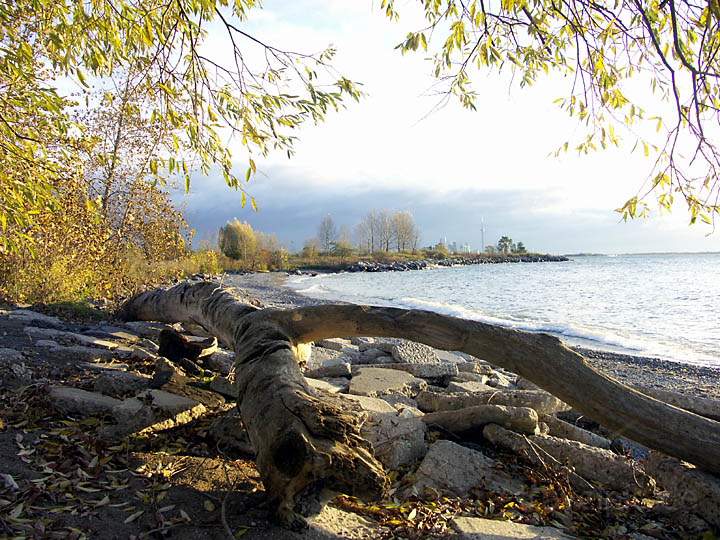 na_ca_toronto_007.JPG - Die Skyline von Totonto in weiter Ferne vom Humber Bay Park