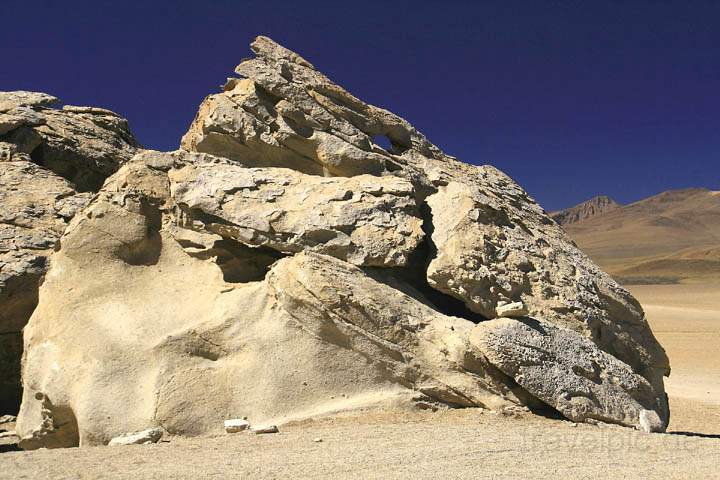 sa_bo_arbol_de_piedra_004.jpg - Eine Art Raubvogelkopf in der Formation rbol de Piedra