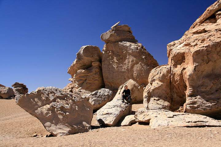 sa_bo_arbol_de_piedra_006.jpg - Felsformationen in der Atacama-Wste von Bolivien