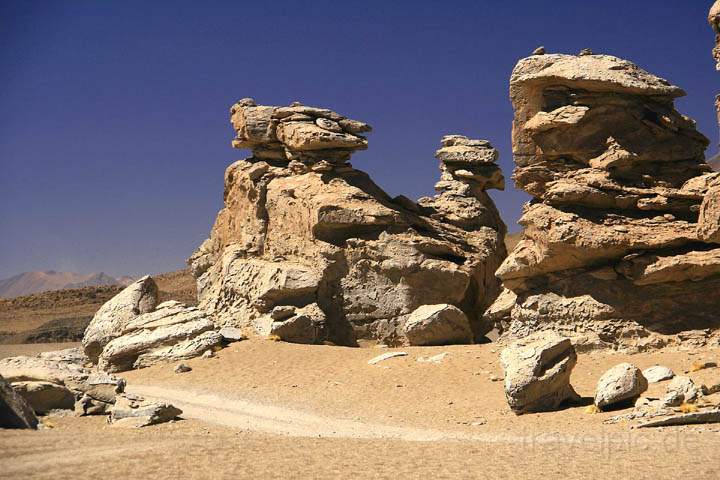 sa_bo_arbol_de_piedra_008.jpg - Ein Fahrweg durch die Felsformationen des rbol de Piedra