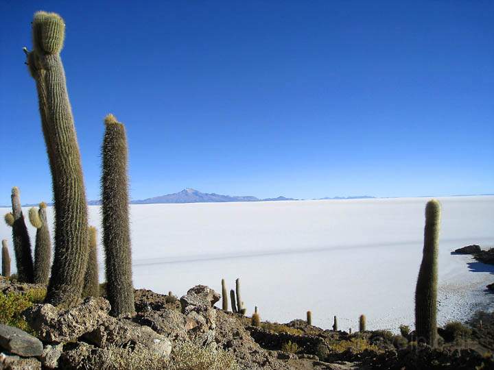 sa_bo_salar_de_uyuni_009.jpg - Die Salar de Uyuni auf knap 3.700m Hhe besitzt die grte Salzflche der Erde