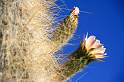 sa_bo_salar_de_uyuni_007