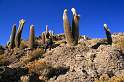 sa_bo_salar_de_uyuni_008