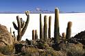 sa_bo_salar_de_uyuni_011