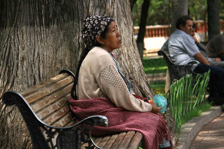 sa_bo_sucre_013.jpg - Eine alte Frau sucht Ruhe im schnen Parque Bolivar von Sucre