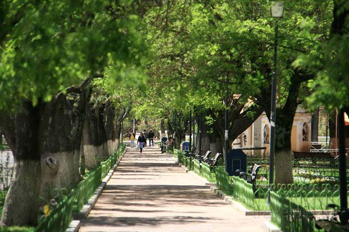 sa_bo_sucre_014.jpg - Eine Baumallee im schn angelegten Parque Bolivar in Sucre