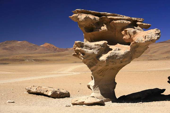 sa_bo_arbol_de_piedra_002.jpg - Der bekannte Steinbaum rbol de Piedra in Bolivien (4.580m)