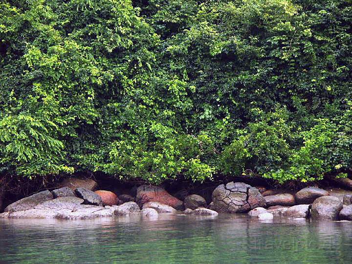 sa_br_angra_010.JPG - Kste vor Parati mit immergrner Regenwald-Vegetation