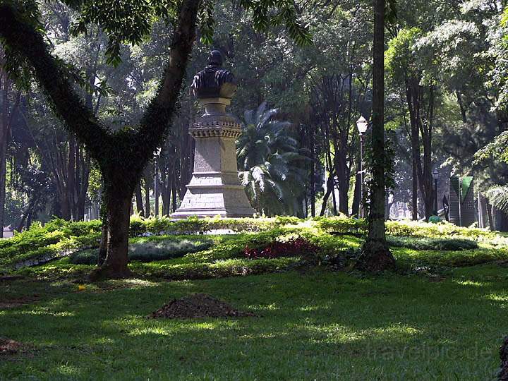 sa_br_sao_paulo_014.JPG - Parque da Luz - er ld zu einem kleinen Spaziergang ein