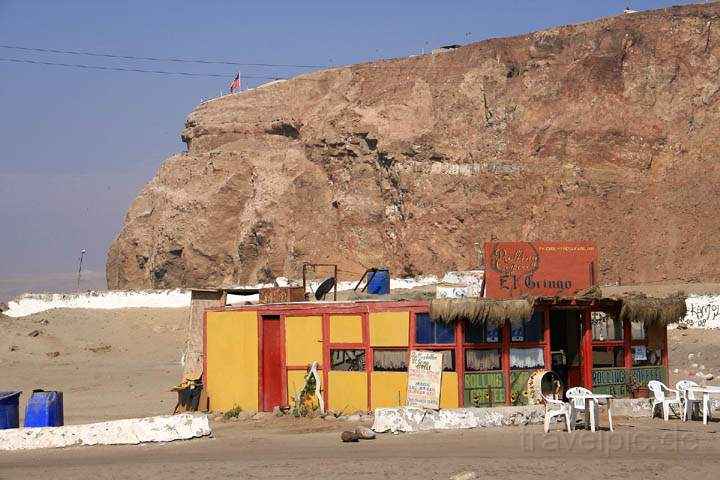 sa_cl_arica_006.jpg - Das kleine Pup El Gringo unterhalb des Morro von Arica