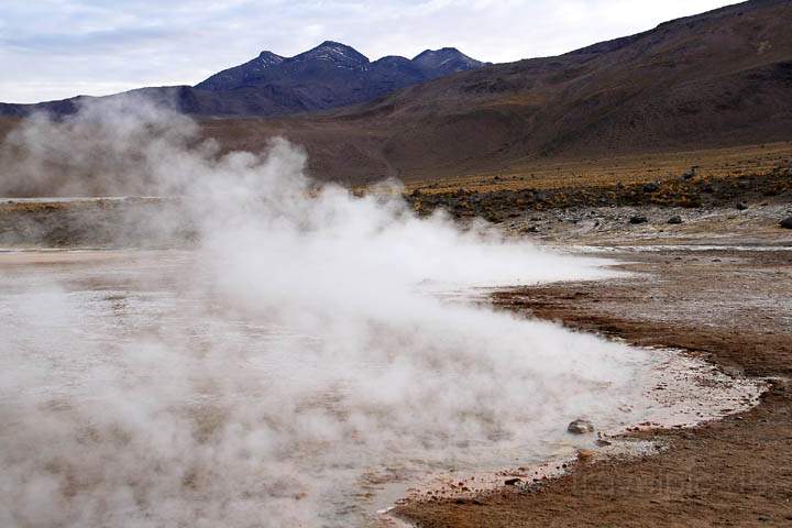 sa_cl_el_tatio_006.jpg - Dampfendes Wasser an den Geysiren von El Tatio