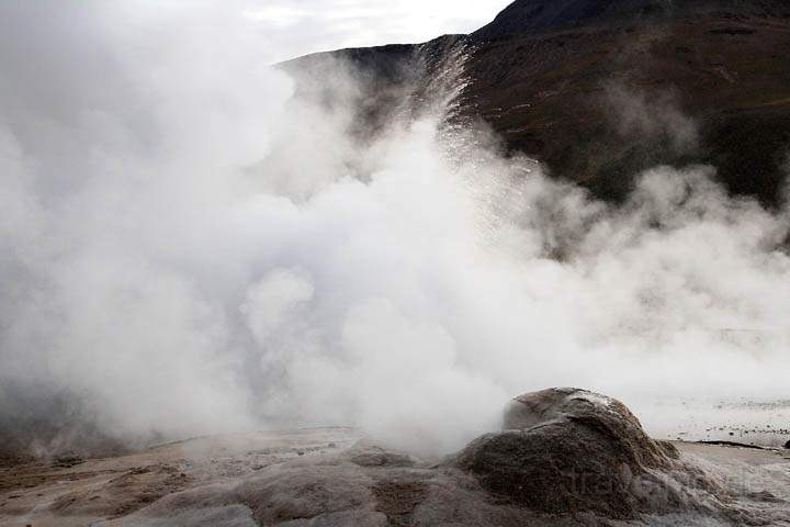 sa_cl_el_tatio_008.jpg - Einige der Geysire von El Tatio sprudeln ber zwei Meter hoch