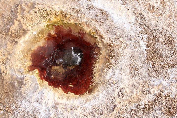 sa_cl_el_tatio_012.jpg - Am El Tatio Geysir findet man Wasserlcher in allen Farben