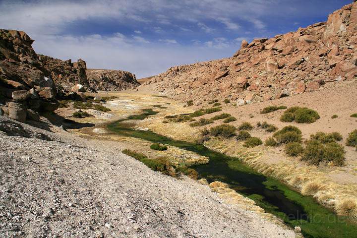 sa_cl_el_tatio_017.jpg - Ein heisser Bachlauf in Nhe des Geysirfeldes El Tatio