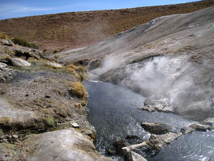 sa_cl_el_tatio_018.jpg - In der Nhe des Geysirfeldes El Tatio befindet sich auch ein heisses Naturbecken