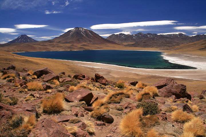 sa_cl_laguna_miscanti_004.jpg - Die Laguna Miscanti wird umsumt von einem Salzsaum