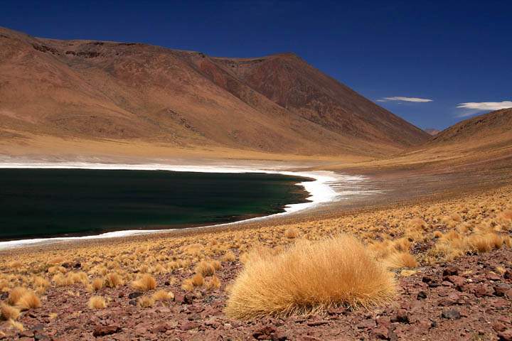 sa_cl_laguna_miscanti_006.jpg - Die Landschaft an der tief blauen Laguna Miiques