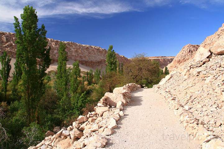 sa_cl_tocanao_006.jpg - Ein Weg oberhalb der oasenartigen Jere-Schlucht