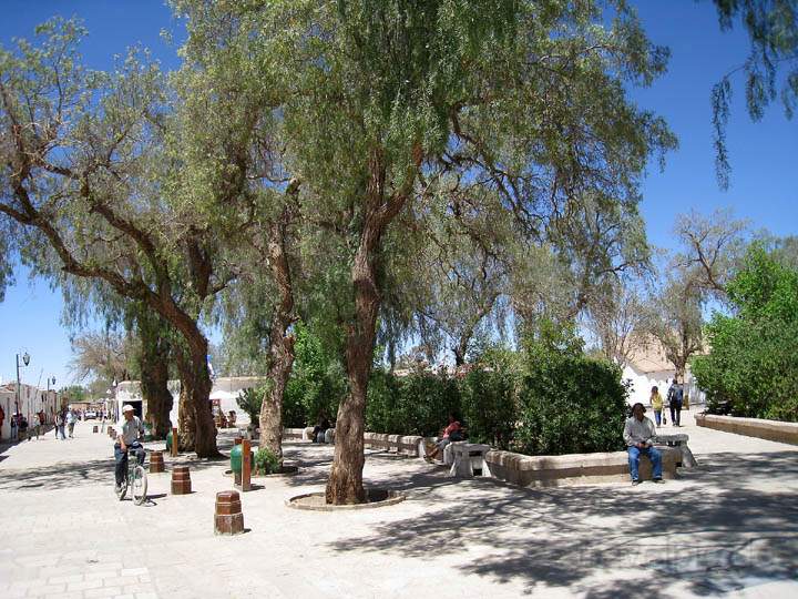 sa_cl_san_pedro_010.jpg - Der zentrale Platz von San Pedro de Atacama in Chile